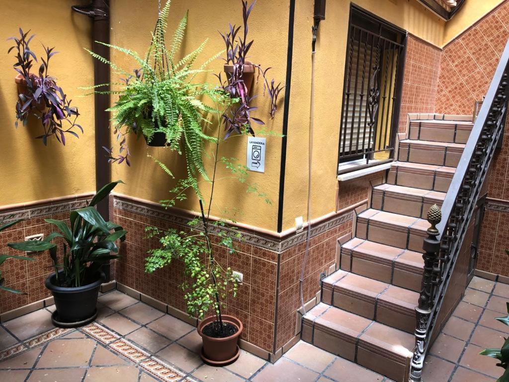 Apartamento Tranquilo E Ideal Para Parejas, Con Bonitas Vistas De Toledo Y Fantastica Ubicacion 外观 照片